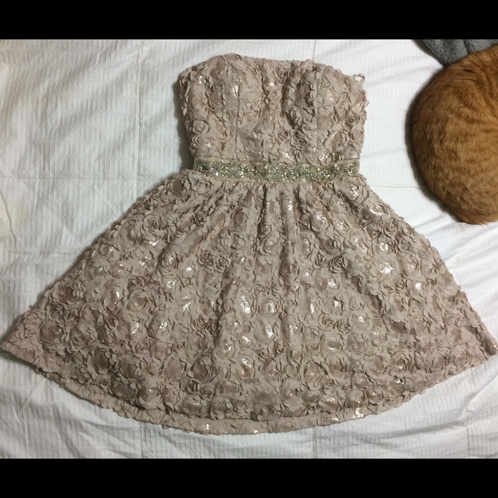 Homecoming/Prom Dress.